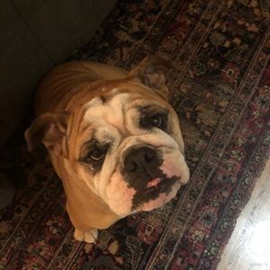 Meet your Posher, Mandy